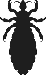 Kutu