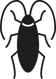 Kecoa