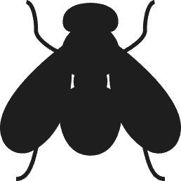 Lalat