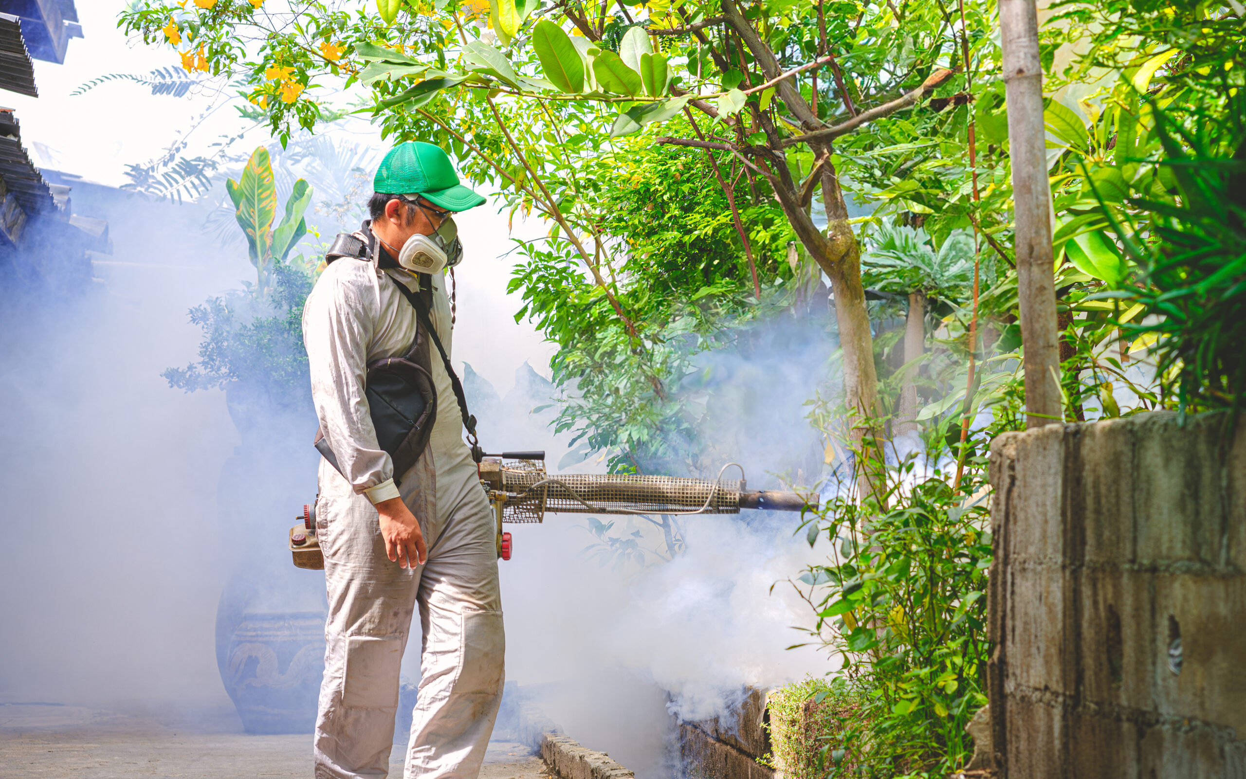 Misting & Fogging 