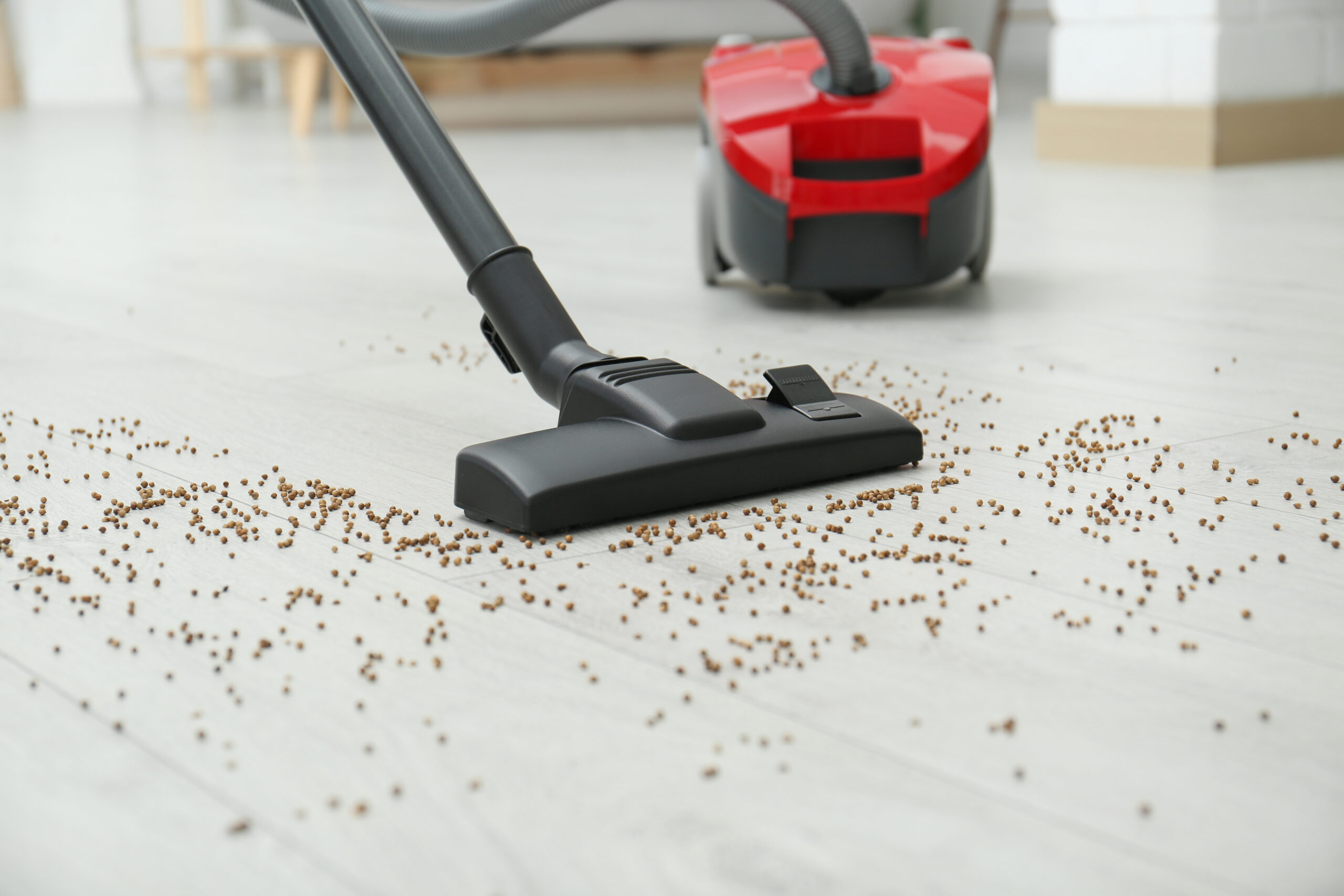 Vacuuming & Mattress Encasement